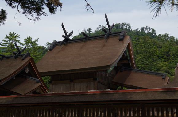 出雲大社御本殿