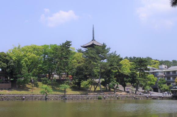 猿沢池と興福寺五重塔