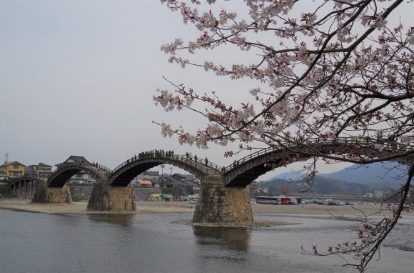 桜の花と錦帯橋