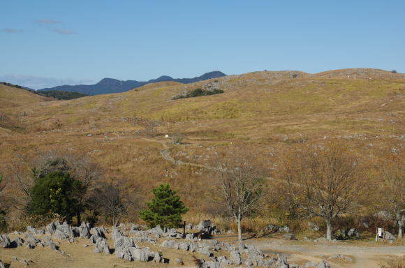 石灰岩の大地の秋吉台