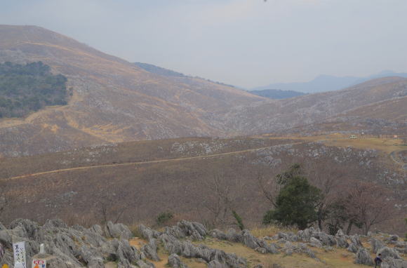 石灰岩の大地の秋吉台