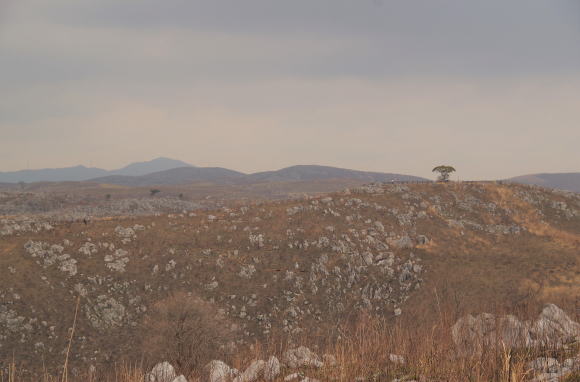 石灰岩の大地の秋吉台