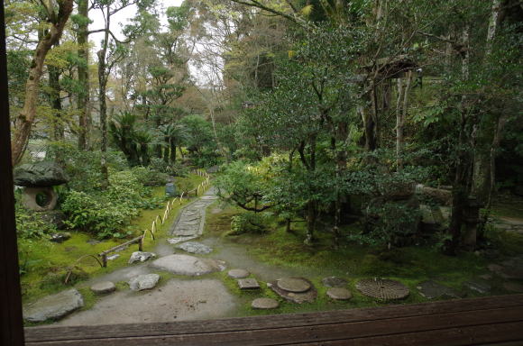 雨上が静かなたたずまいの庭