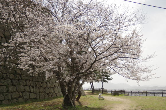 丸亀城三の丸