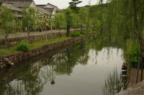 栁と倉敷川